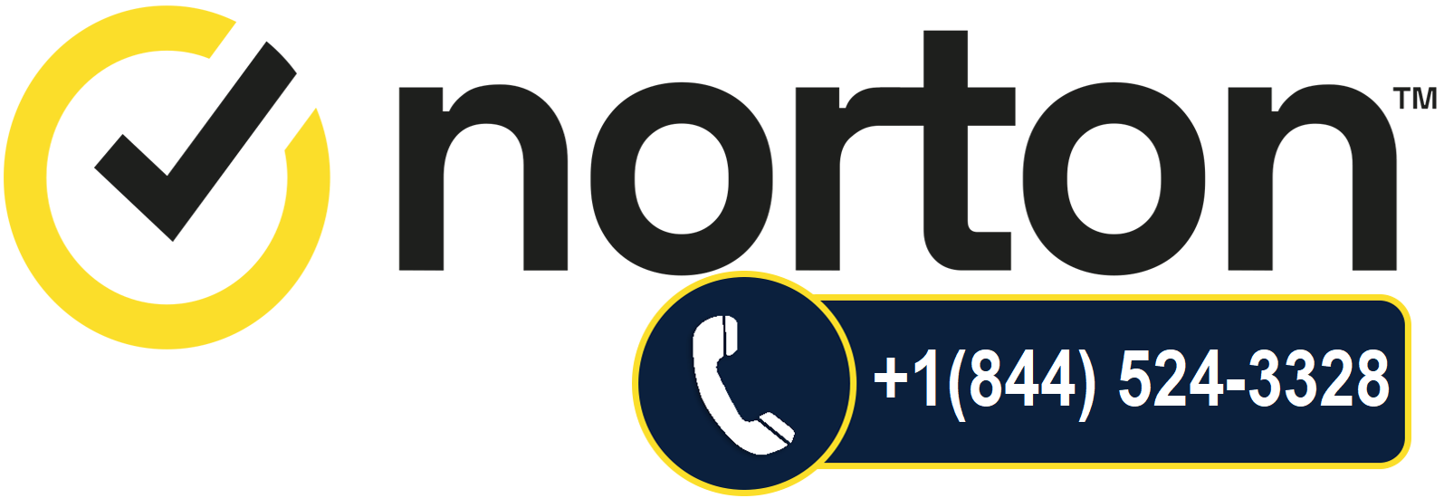 norton-banner